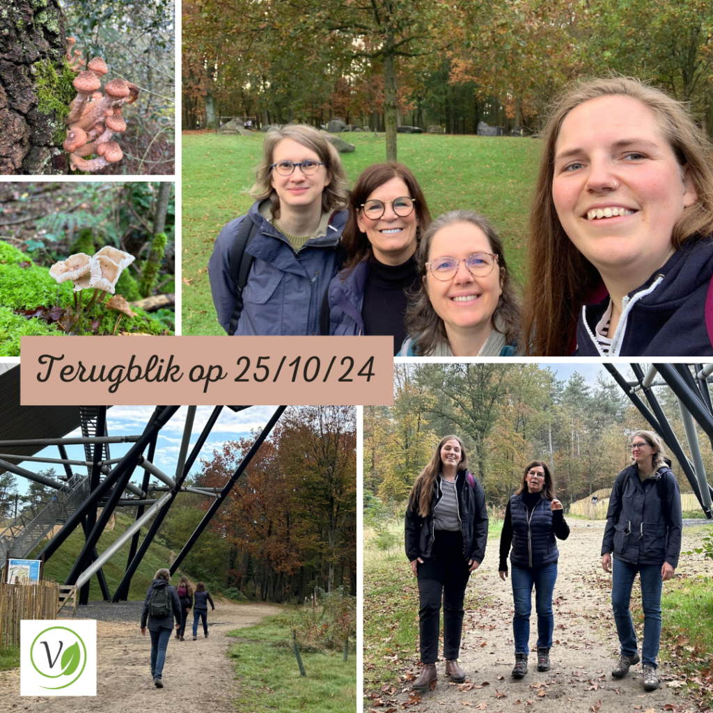 Netwerkwandeling in Kattevennen (Genk). Herfst in het bos.